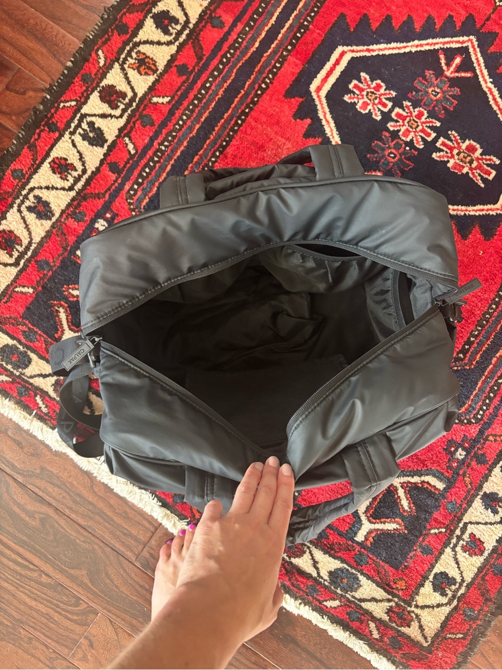 Black Calpak Travel/Weekender Bag